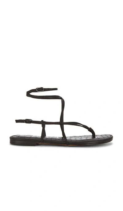 Sam Edelman Clarra 샌들 In Brown
