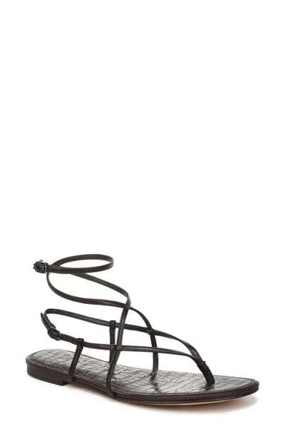 Sam Edelman Clarra Strappy Sandal In Brown