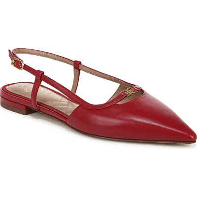 SAM EDELMAN SAM EDELMAN COHEN POINTED TOE FLAT