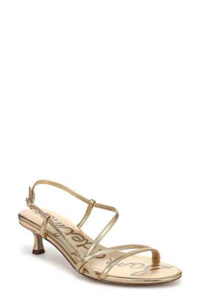 Sam Edelman Cora Slingback Kitten Heel Sandal In Multi