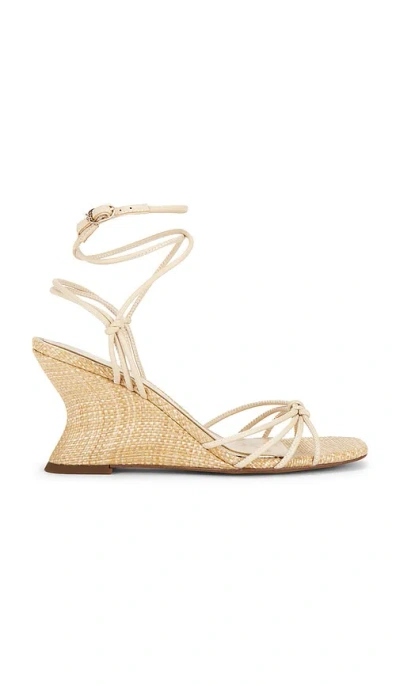 Sam Edelman Daxton Sandal In Brown