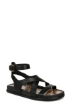 Sam Edelman Delia Ankle Strap Sandal In Black