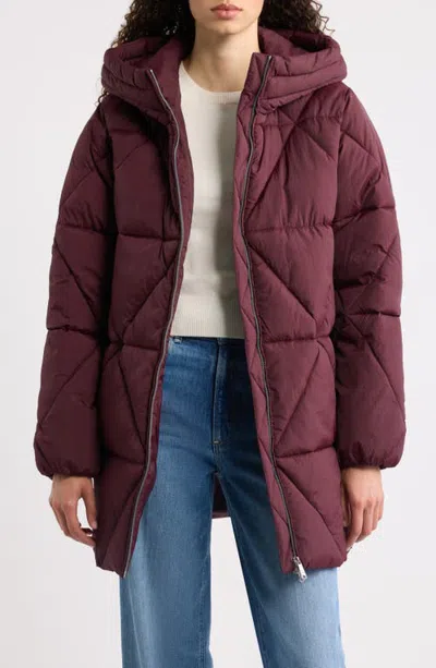 Sam Edelman Diamond Quilted Hooded Puffer Coat In Brown