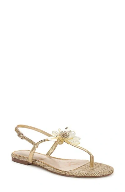 Sam Edelman Eden Slingback Sandal In Amber Gold
