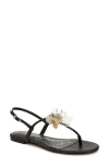 Sam Edelman Eden Slingback Sandal In Black