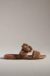 Sam Edelman Elisa Slide Sandal Dark Natural Raffia In Brown