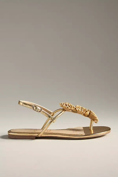 Sam Edelman Eliza Woven Thong Sandals In Gold
