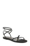 Sam Edelman Ellina Ankle Strap Sandal In Black