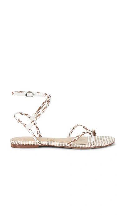 Sam Edelman Ellina Braid Sandal In Multi