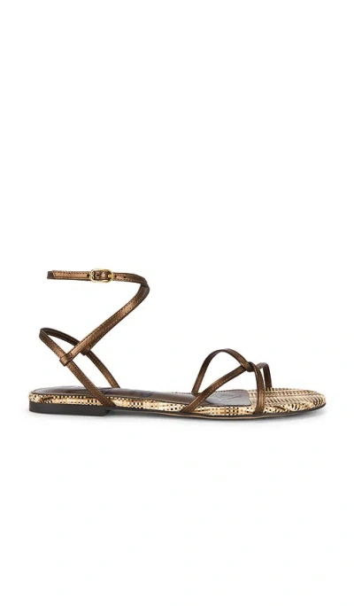 Sam Edelman Ellina Sandal In Brown
