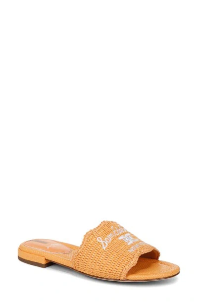 Sam Edelman Evette Slide Sandal Marigold Raffia In Yellow