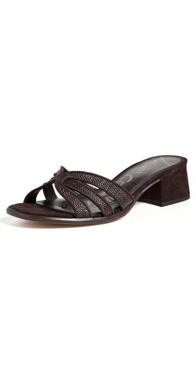 Sam Edelman Farrin 2 Sandals Cafe Noir In Brown