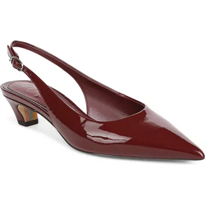 Sam Edelman Finch Slingback Pointed Toe Pump In Burgundy