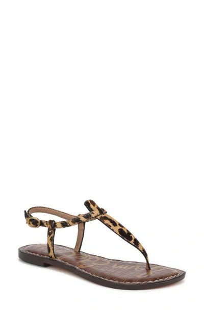 Sam Edelman Gigi Sandal In Cyprus Tan Multi