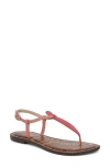 Sam Edelman Women's Gigi Thong Flat Sandals In Pink