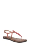 Sam Edelman Women's Gigi Thong Flat Sandals In Summer Rose Se/pink Lily