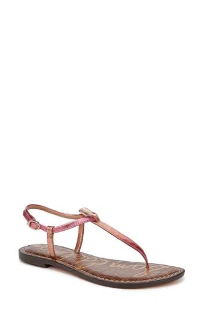 Sam Edelman Gigi Sandal In Pink