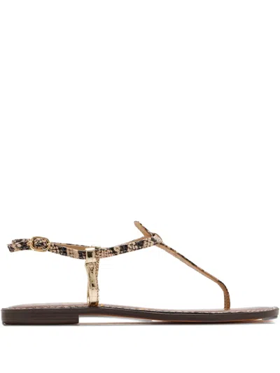 Sam Edelman Gigi Snakeskin-effect Sandals In Brown
