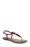 Sam Edelman Gigi T-strap Sandal In Animal Print
