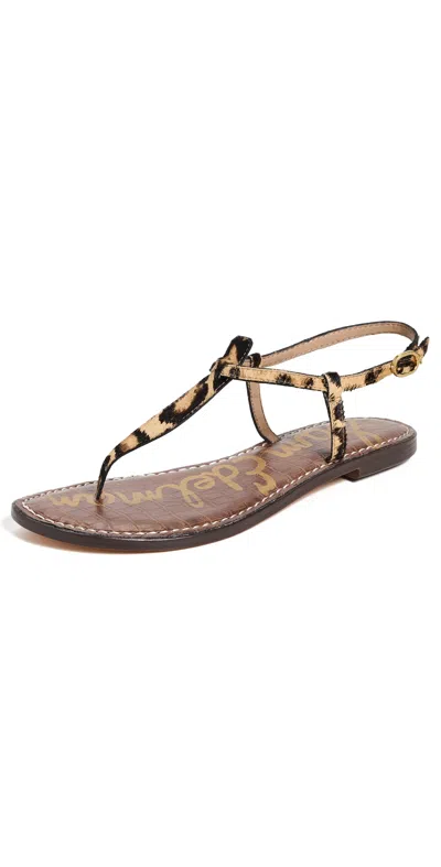 Sam Edelman Gigi Thong Sandals Cypress Tan Multi In Brown
