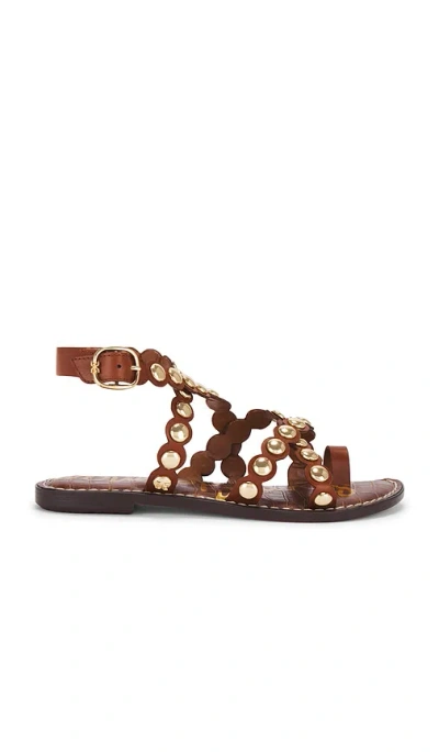 Sam Edelman Gloria Sandal In Brown