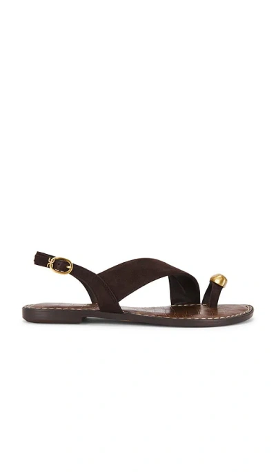 Sam Edelman Grace Sandal In Brown