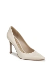Sam Edelman Hazel Pointed-toe Heels In Neutral