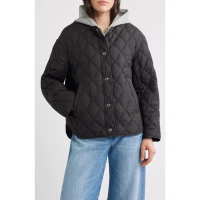 Sam Edelman Hoodie Bib Quilted Jacket In Black