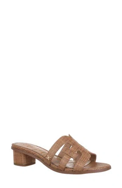 Sam Edelman Illie Block Heel Slide Sandal In Brown