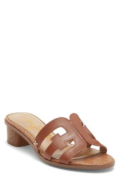 Sam Edelman Illie Slide Sandal In Brown