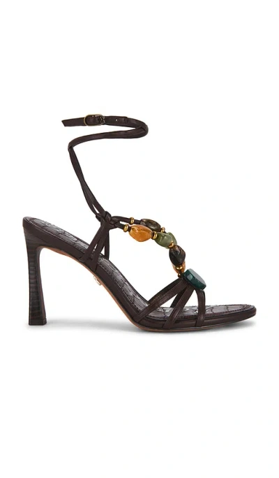 Sam Edelman Imani 2 Sandal In Brown