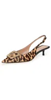Sam Edelman Kammie Slingback Pumps Cyprus Tan Multi In Cyprus Tan Multi
