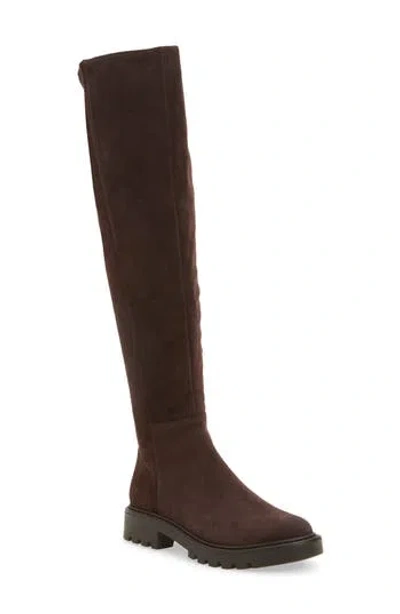 Sam Edelman Kassandra Over The Knee Boot In Brown