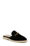 Sam Edelman Kira Bit Mule Black Suede In Black