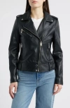 Sam Edelman Lambskin Moto Jacket In Black