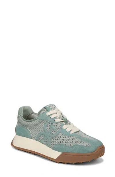 Sam Edelman Langley Mesh Sneaker In Sage Sky/ Antique Green