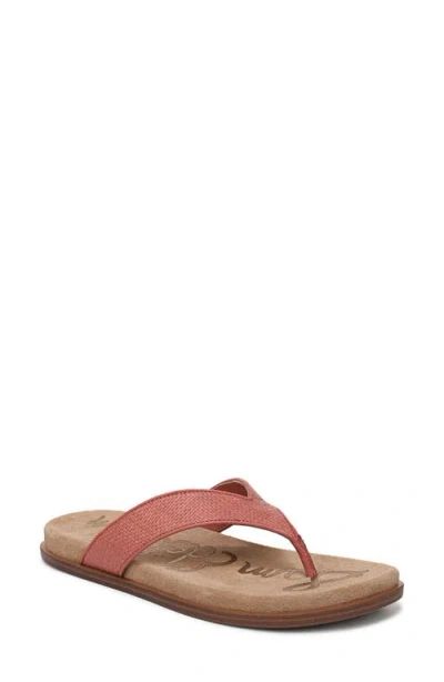 Sam Edelman Lila Knee High Boot In Multi