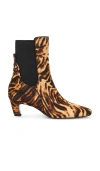 Sam Edelman Margo Genuine Calf Hair Bootie In Brown Multi