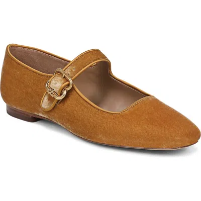 Sam Edelman Michaela Mary Jane Flat In Multi