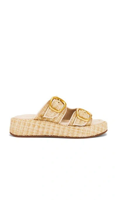 Sam Edelman Nerissa Sandal In Dk Natural
