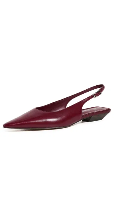 Sam Edelman Netty 2 Pumps French Merlot