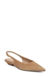 Sam Edelman Netty Slingback Pointed Toe Flat In Brown