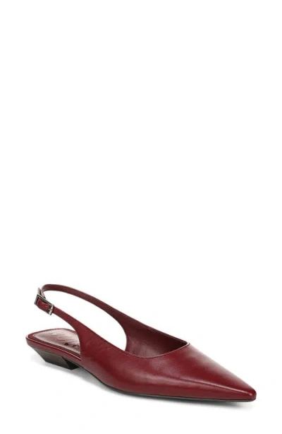 Sam Edelman Netty Slingback Pointed Toe Flat In Burgundy
