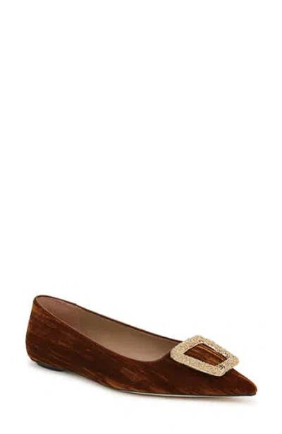 Sam Edelman Nico Pointed Toe Flat In Brown