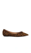 Sam Edelman Nori Pointed Toe Flat In Grandma Tan
