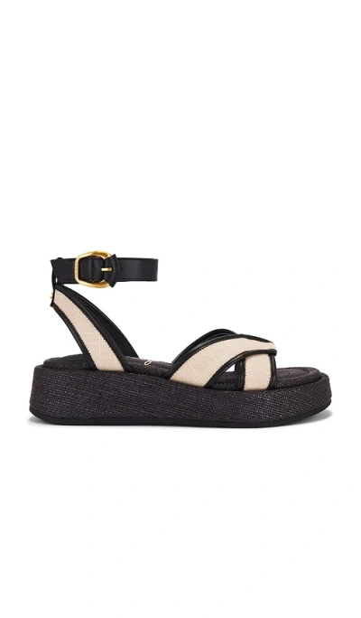 Sam Edelman Nylie Sandal In 原色&黑色