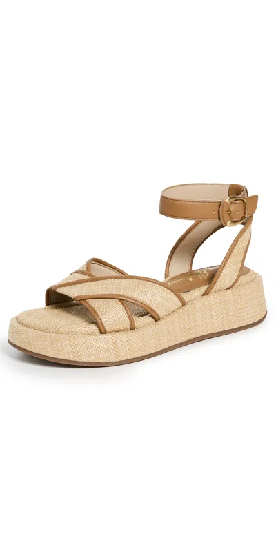SAM EDELMAN NYLIE SANDALS BLEACHED BEECHWOOD/SADDLE