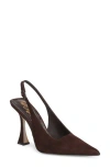 Sam Edelman Odette Slingback Pointed Cap Toe Pump In Brown