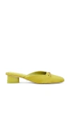 Sam Edelman Ollie Square Toe Mule Greentini In Greentini