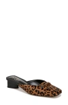 Sam Edelman Ollie Square Toe Mule Leopard Brahma Hair Leather In Granada Tan